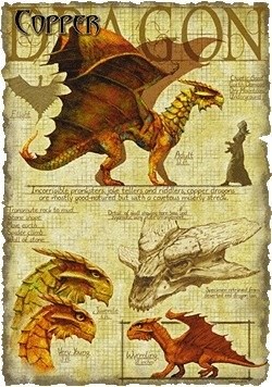Медные драконы