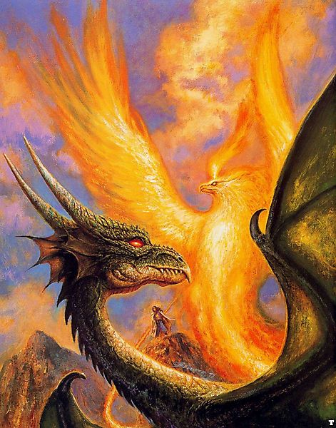 Дракон и возрождающийся феникс