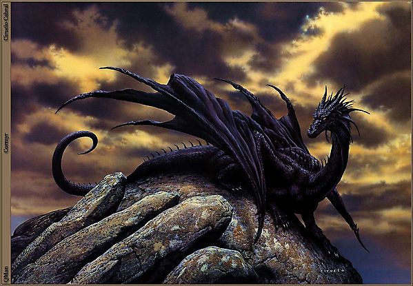 Чёрный дракон в ожидании бури