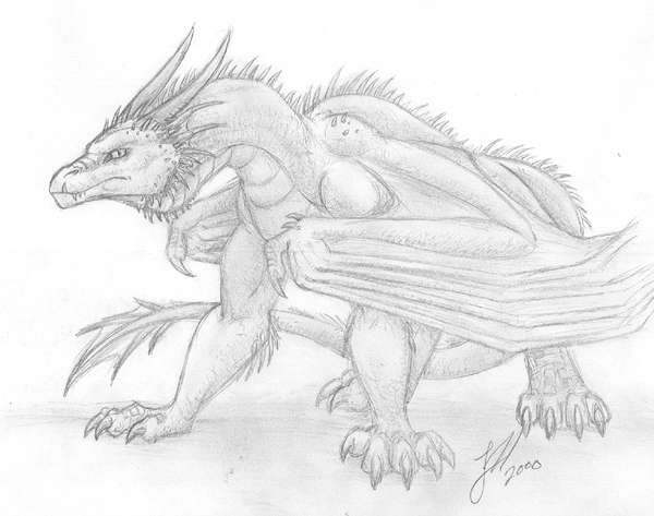 Совершенно дикий дракон