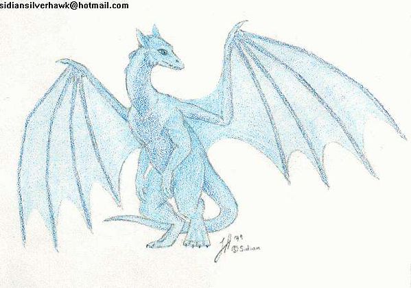 Молодой мохнатый дракончик