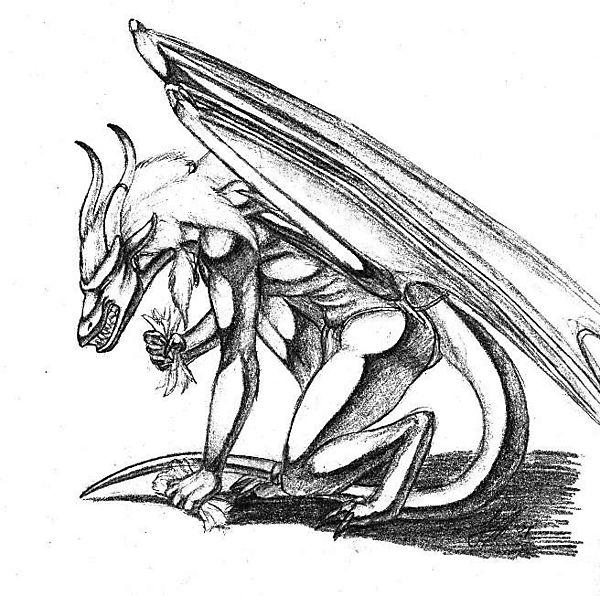 Дракон рвёт сорнячки