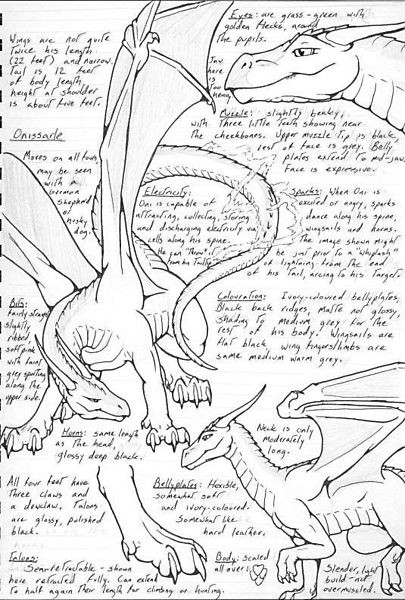 Большое драконье описание