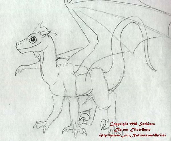 Юный дракон с чёрными глазами