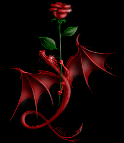 Дракон и роза