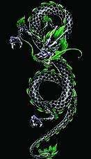 Чёрно-зелёный восточный дракон