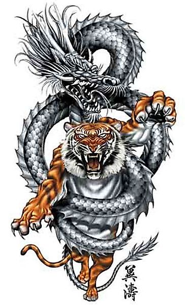 Дракон обвивает атакующего тигра