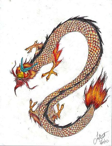 Усатый и бородатый дракон