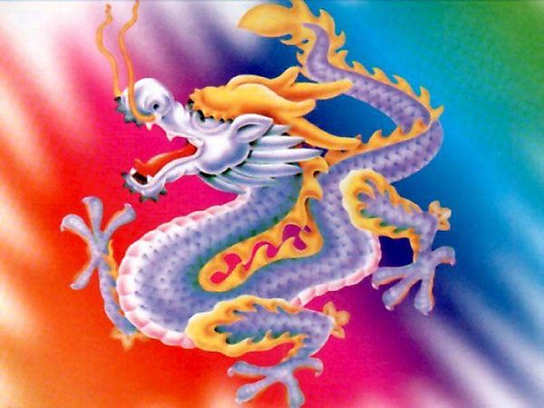 Мелкий дракон из Китая