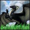 Чёрный дракон прогуливается на зелёном лугу