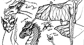 То, чего вы не знали о драконах