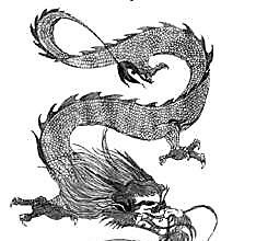 Китайский дракон с гривой и усами
