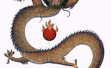 Лесной дракон и пламенный шар