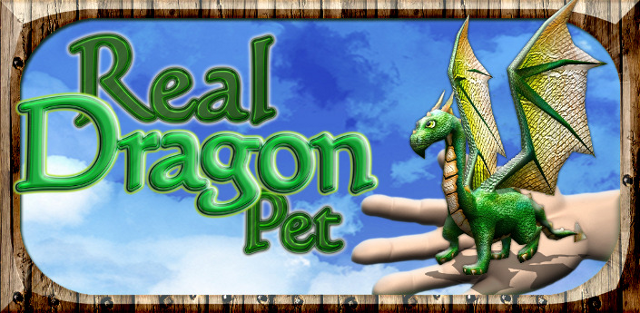 Dragon Pet